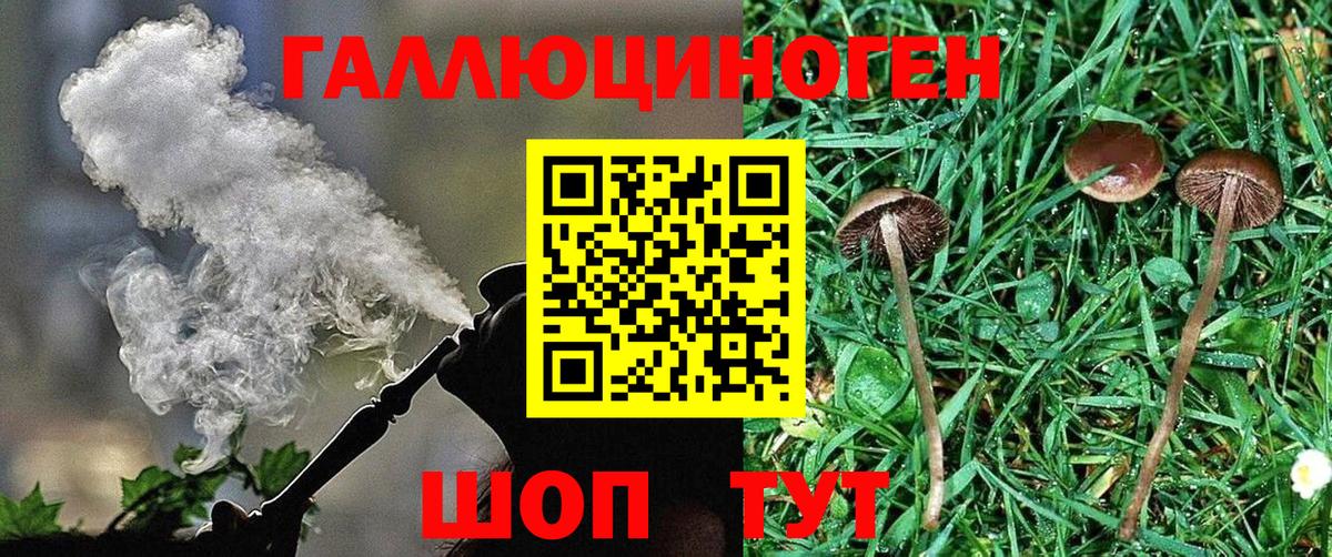 Галлюциногенные грибы ЛСД  Галлюциногенные грибы MAGIC MUSHROOMS  Вход с VPN  Чита 