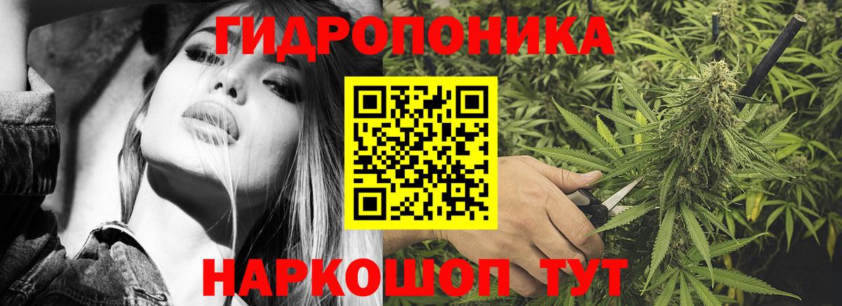 Шишки марихуана AK-47  Вход с VPN  Чита  Бошки Шишки White Widow 